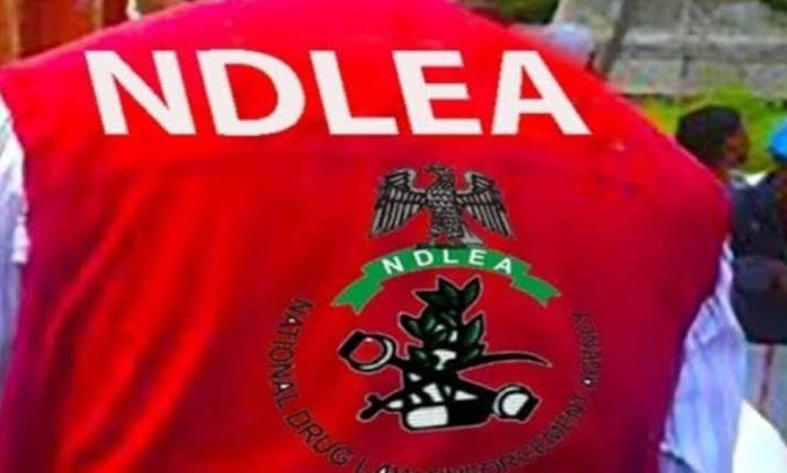 NDLEA Recovers Tonnes of Illicit Drugs in Nine States